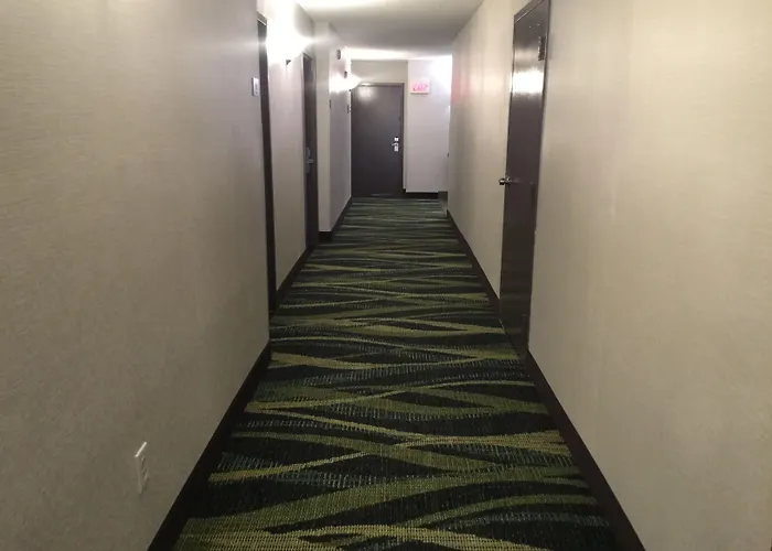 Monte Carlo Ocean Ocean City