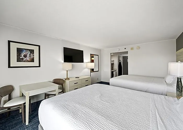Monte Carlo Ocean Hotel 3*